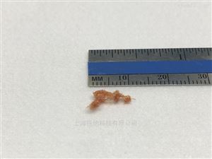 ZrS3 三硫化锆晶體(tǐ)