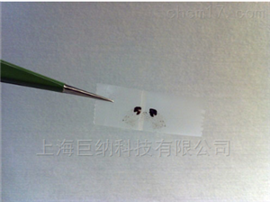 GO 氧化石墨烯 （Graphene Oxide）