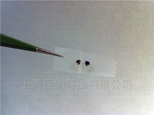氧化石墨烯（美國）